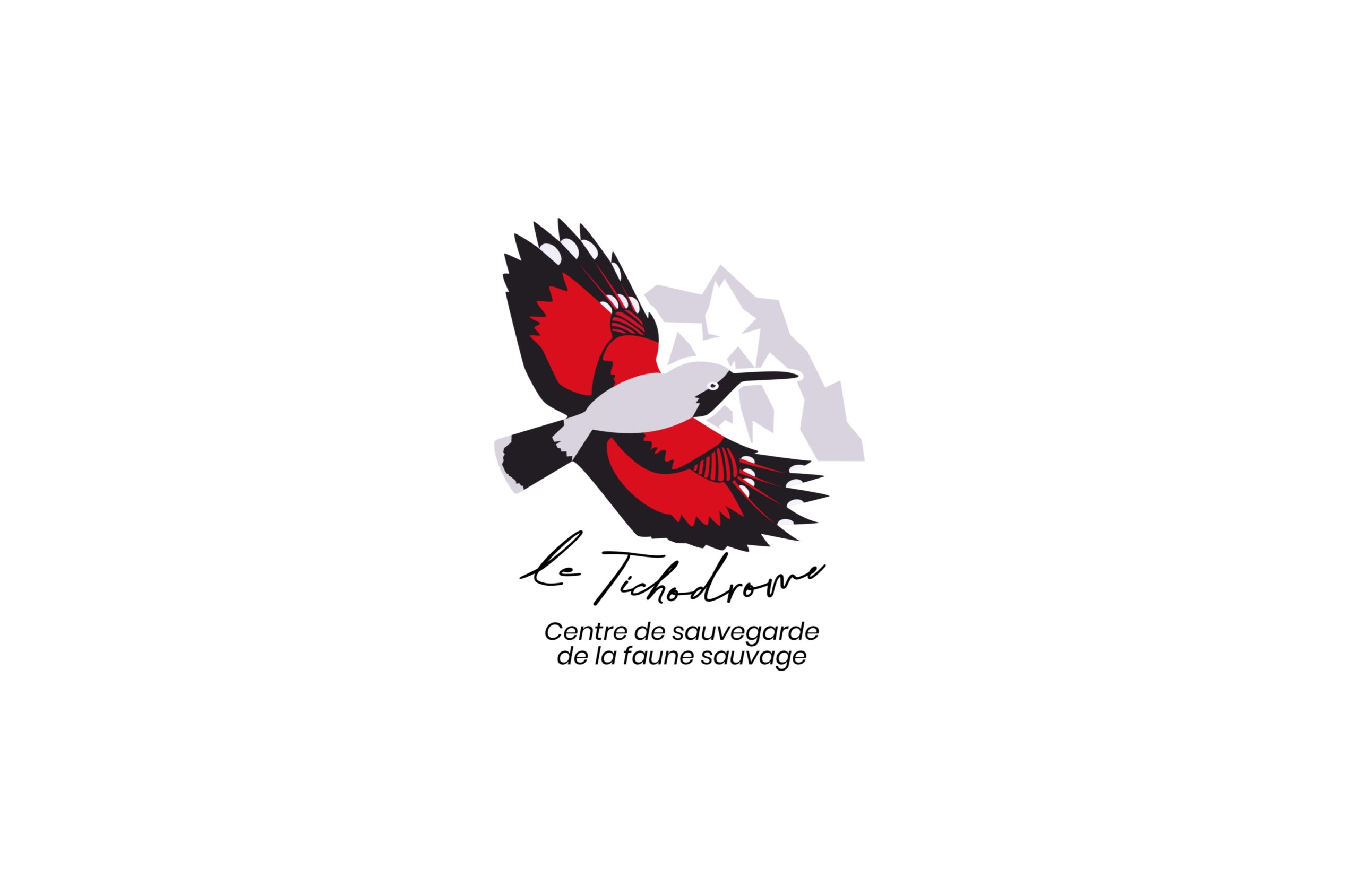 Le Tichodrome