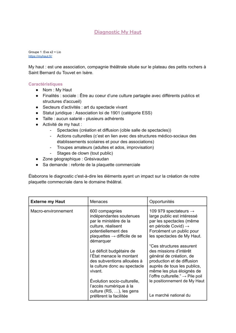 1_Diagnostic_et_strat_de_com_My_Haut (1)-1